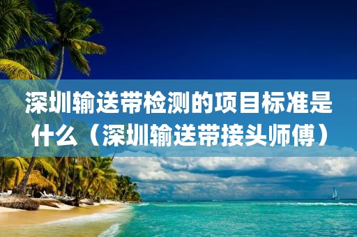 深圳输送带检测的项目标准是什么（深圳输送带接头师傅）